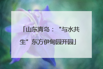 山东青岛：“与水共生”东方伊甸园开园