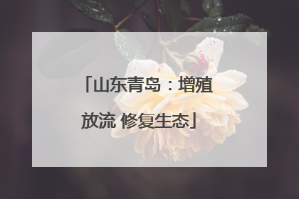 山东青岛：增殖放流 修复生态