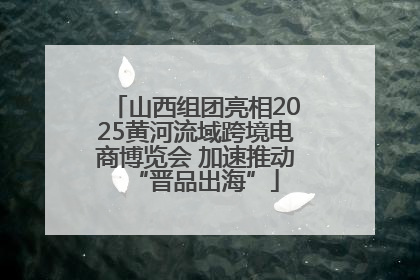 山西组团亮相2025黄河流域跨境电商博览会 加速推动“晋品出海”