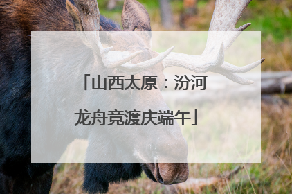 山西太原：汾河龙舟竞渡庆端午