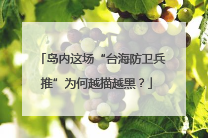 岛内这场“台海防卫兵推”为何越描越黑？
