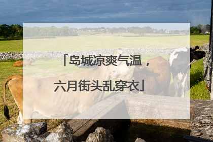 岛城凉爽气温，六月街头乱穿衣