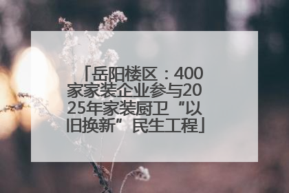 岳阳楼区：400家家装企业参与2025年家装厨卫“以旧换新”民生工程