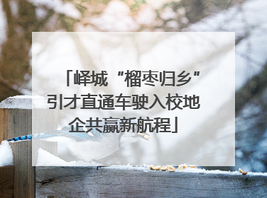 峄城“榴枣归乡”引才直通车驶入校地企共赢新航程
