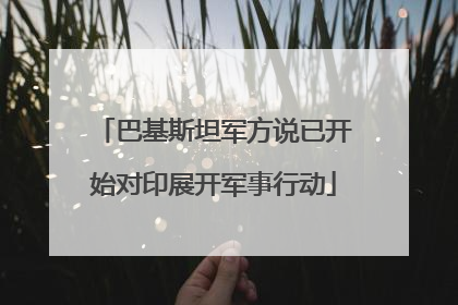 巴基斯坦军方说已开始对印展开军事行动