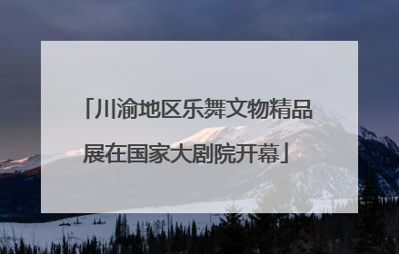 川渝地区乐舞文物精品展在国家大剧院开幕