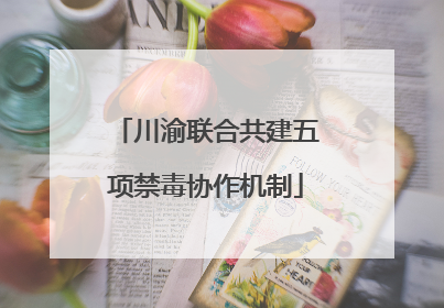 川渝联合共建五项禁毒协作机制