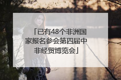 已有48个非洲国家报名参会第四届中非经贸博览会