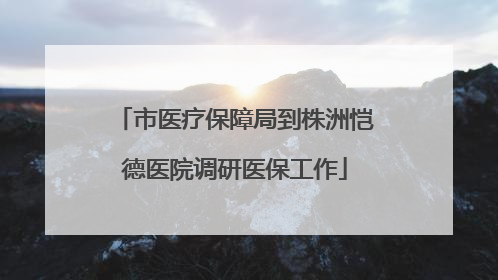 市医疗保障局到株洲恺德医院调研医保工作