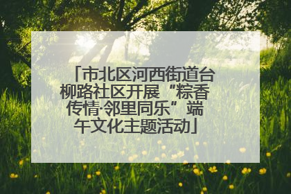 市北区河西街道台柳路社区开展“粽香传情·邻里同乐”端午文化主题活动