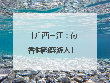 广西三江：荷香侗韵醉游人