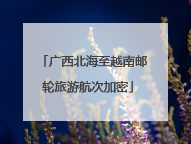 广西北海至越南邮轮旅游航次加密