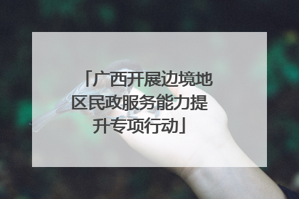 广西开展边境地区民政服务能力提升专项行动