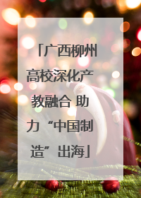 广西柳州高校深化产教融合 助力“中国制造”出海