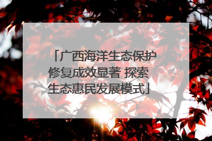 广西海洋生态保护修复成效显著 探索生态惠民发展模式