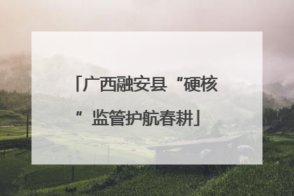 广西融安县“硬核”监管护航春耕