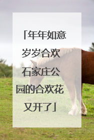 年年如意 岁岁合欢 石家庄公园的合欢花又开了