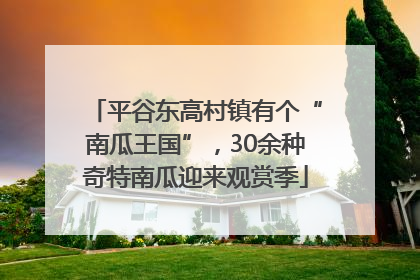 平谷东高村镇有个“南瓜王国”，30余种奇特南瓜迎来观赏季
