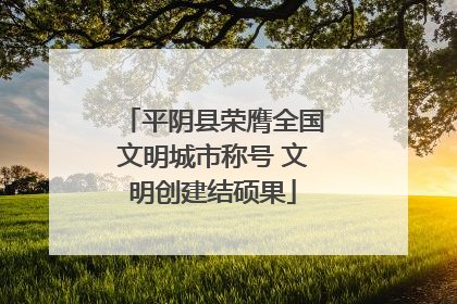 平阴县荣膺全国文明城市称号 文明创建结硕果
