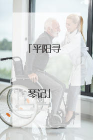 平阳寻琴记