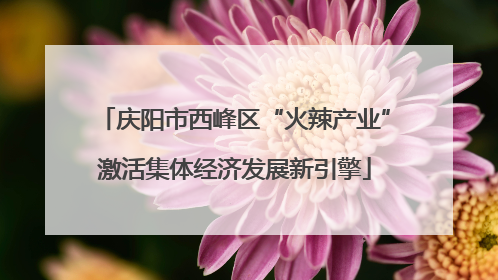 庆阳市西峰区“火辣产业”激活集体经济发展新引擎