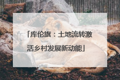 库伦旗：土地流转激活乡村发展新动能