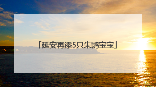 延安再添5只朱鹮宝宝
