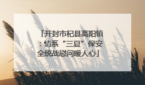 开封市杞县高阳镇：情系“三夏”保安全统战慰问暖人心