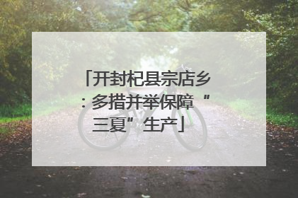 开封杞县宗店乡：多措并举保障“三夏”生产