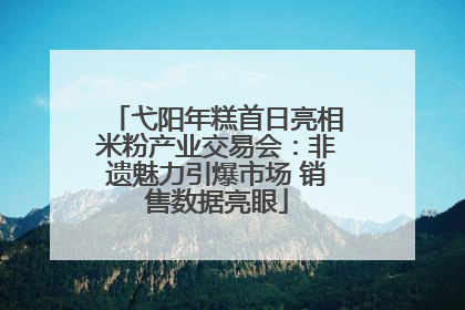 弋阳年糕首日亮相米粉产业交易会：非遗魅力引爆市场 销售数据亮眼