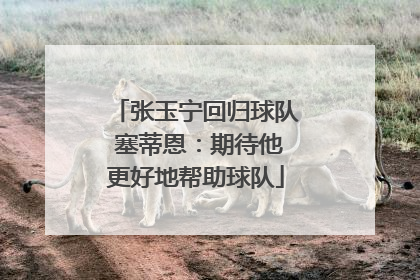 张玉宁回归球队 塞蒂恩：期待他更好地帮助球队