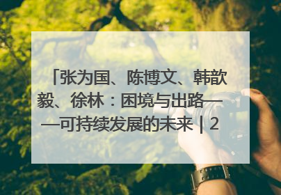 张为国、陈博文、韩歆毅、徐林：困境与出路——可持续发展的未来｜2025IFCII
