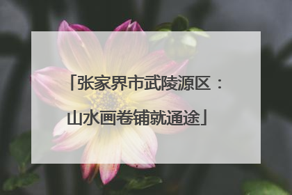 张家界市武陵源区：山水画卷铺就通途