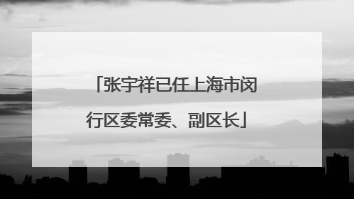 张宇祥已任上海市闵行区委常委、副区长
