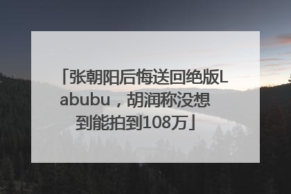 张朝阳后悔送回绝版Labubu，胡润称没想到能拍到108万