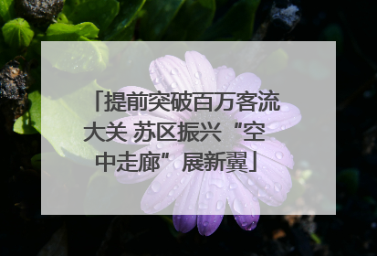 提前突破百万客流大关 苏区振兴“空中走廊”展新翼