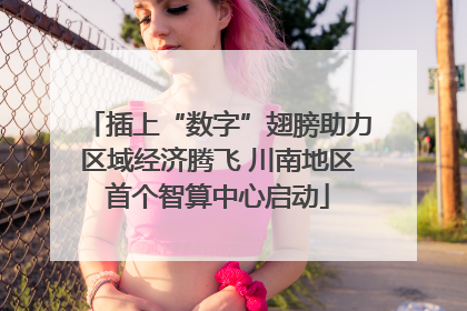 插上“数字”翅膀助力区域经济腾飞 川南地区首个智算中心启动