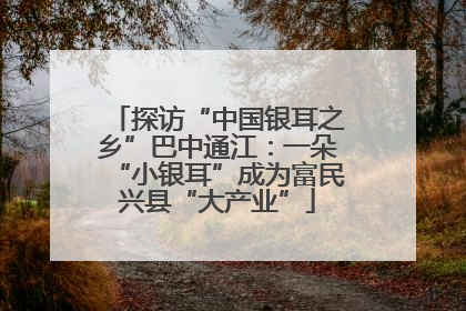 探访“中国银耳之乡”巴中通江：一朵“小银耳”成为富民兴县“大产业”