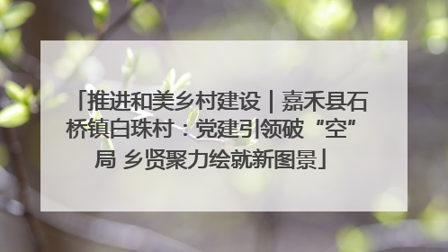 推进和美乡村建设｜嘉禾县石桥镇白珠村：党建引领破“空”局 乡贤聚力绘就新图景