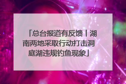 总台报道有反馈丨湖南两地采取行动打击洞庭湖违规钓鱼现象