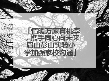 情暖万家育桃李，携手同心向未来 眉山彭山实验小学加强家校沟通