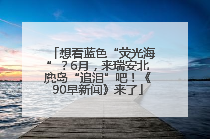 想看蓝色“荧光海”？6月，来瑞安北麂岛“追泪”吧！《90早新闻》来了