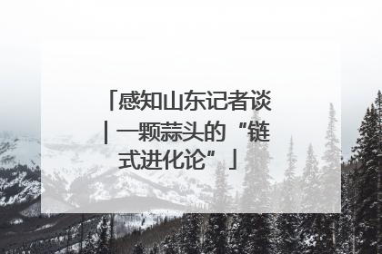 感知山东记者谈｜一颗蒜头的“链式进化论”