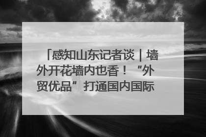 感知山东记者谈｜墙外开花墙内也香！“外贸优品”打通国内国际市场“旋转门”