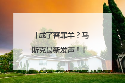 成了替罪羊？马斯克最新发声！