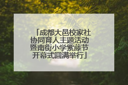 成都大邑校家社协同育人主题活动暨南街小学紫藤节开幕式圆满举行