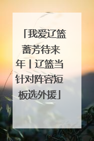 我爱辽篮 蓄芳待来年丨辽篮当针对阵容短板选外援