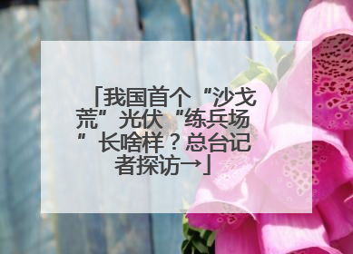 我国首个“沙戈荒”光伏“练兵场”长啥样？总台记者探访→