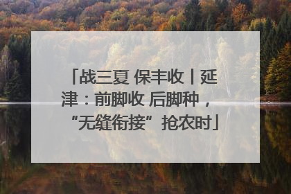 战三夏 保丰收丨延津：前脚收 后脚种，“无缝衔接”抢农时