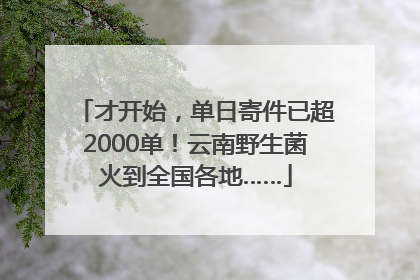 才开始，单日寄件已超2000单！云南野生菌火到全国各地……